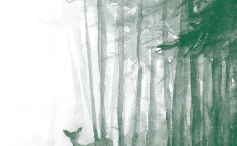 Takakia #3 (automne-hiver 2024)